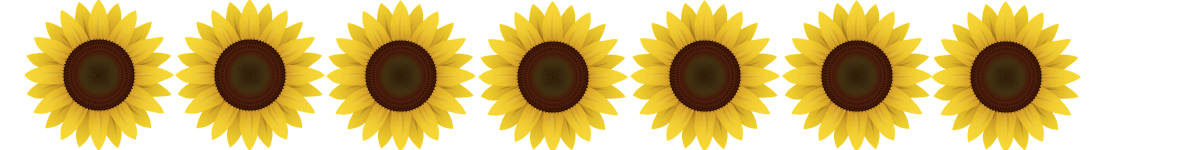 sonnenblumenband